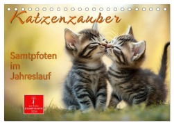 Cover-Bild zum Titel 'Katzenzauber - Samtpfoten im Jahreslauf (Tischkalender 2026 DIN A5 quer), CALVENDO Monatskalender' von 'Peter Roder'