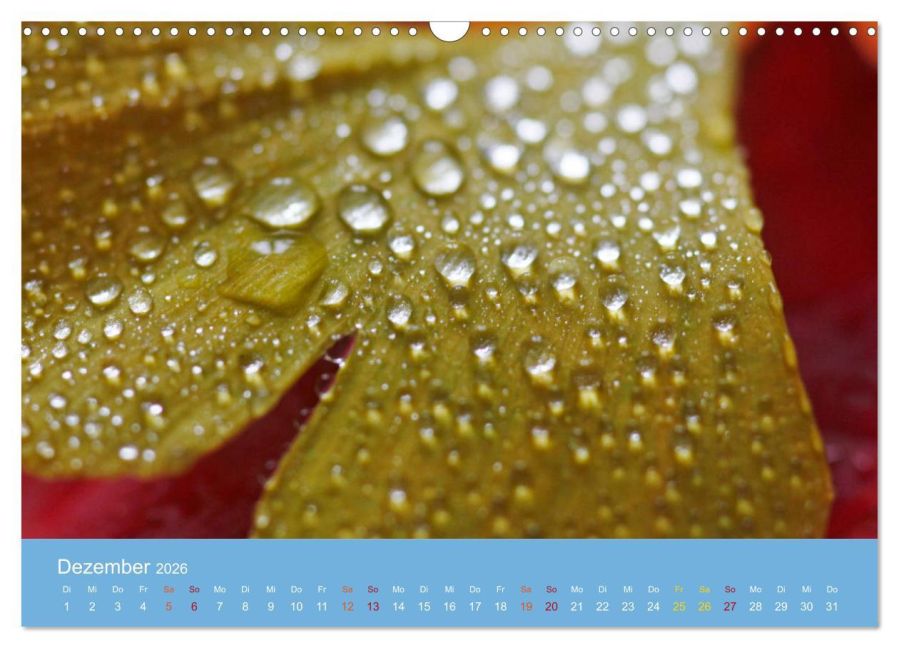 InsideView 4