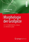 Morphologie der Großpilze - Heinrich Dörfelt, Erika Ruske