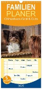 Familienplaner 2025 - Chihuahuas - Cool and Cute mit 5 Spalten (Wandkalender, 21 x 45 cm) CALVENDO - Oliver Pinkoss Photostorys