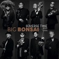 Reverse Time - Big Bonsai