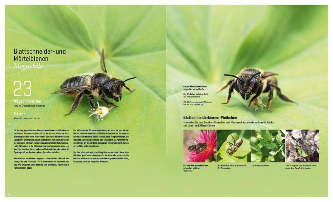 InsideView 12