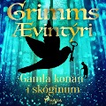Cover-Bild zum Titel 'Gamla konan í skóginum' von 'Grimmsbræður'
