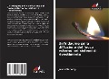 Cover-Bild zum Titel 'Un'indagine sulla diffusione del fuoco esterno nei sistemi di rivestimento' von 'Jason Flaherty'