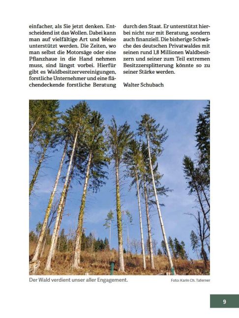 InsideView 5