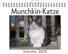 Munchkin-Katze - Anna Scholz