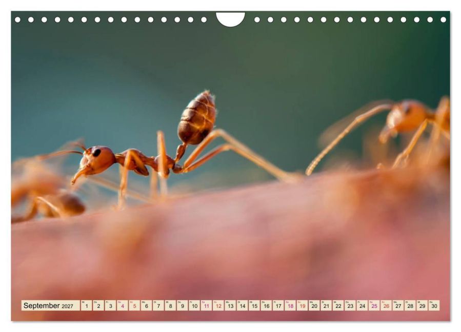 InsideView 14