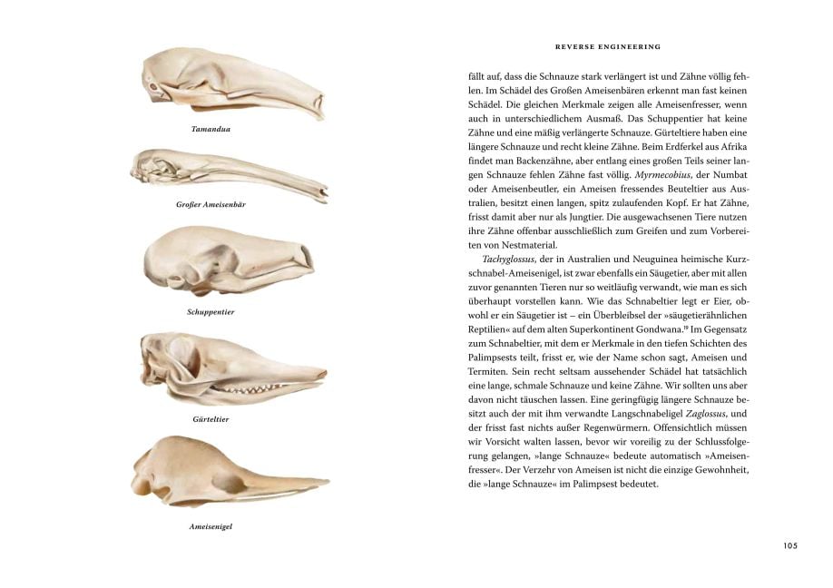 InsideView 5
