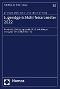 Cover-Bild zum Titel 'Jugendgerichtshilfebarometer 2022' von 'Annemarie Schmoll, Bernd Holthusen, Dirk Lampe'
