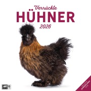 Cover-Bild zum Titel 'Verrückte Hühner Broschürenkalender 2026 - 30x30 - Art12' von ''