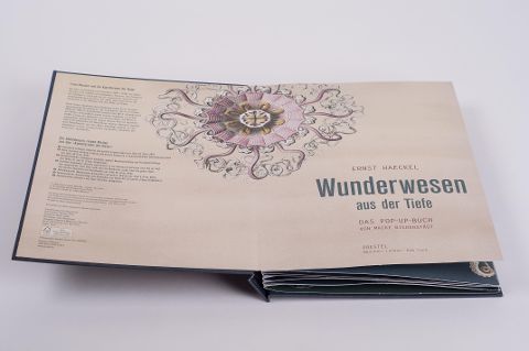 InsideView 8