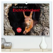 Cover-Bild zum Titel 'Guck mal, ein Eichhörnchen! (hochwertiger Premium Wandkalender 2026 DIN A2 quer), Kunstdruck in Hochglanz' von 'Margret Brackhan'