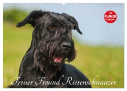 Treuer Freund Riesenschnauzer (Wandkalender 2025 DIN A2 quer), CALVENDO Monatskalender - Sigrid Starick