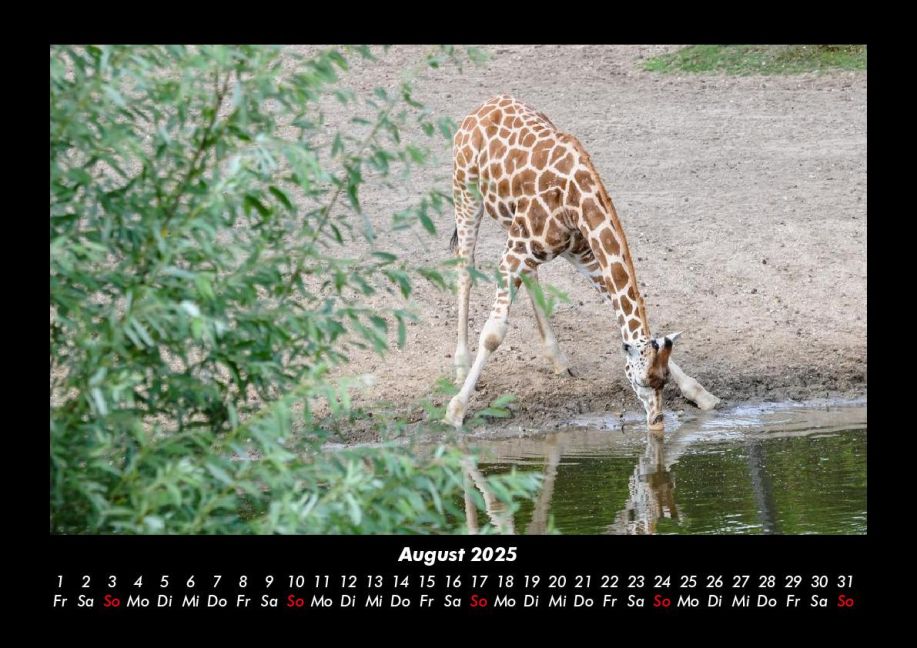 InsideView 12