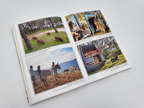 InsideView 8