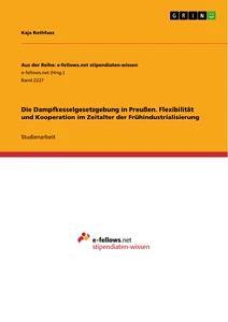 Die Dampfkesselgesetzgebung in Preußen. Flexibilität und Kooperation im Zeitalter der Frühindustrialisierung - Kaja Rothfuss
