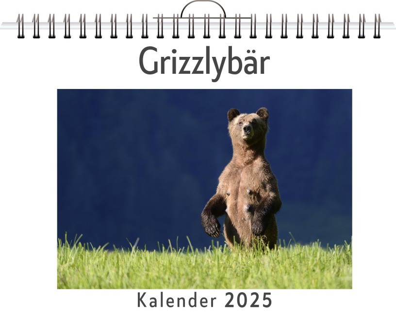 Grizzlybär - Leon Lehmann