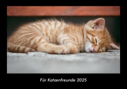 Cover-Bild zum Titel 'Für Katzenfreunde 2025 Fotokalender DIN A3' von 'Tobias Becker'
