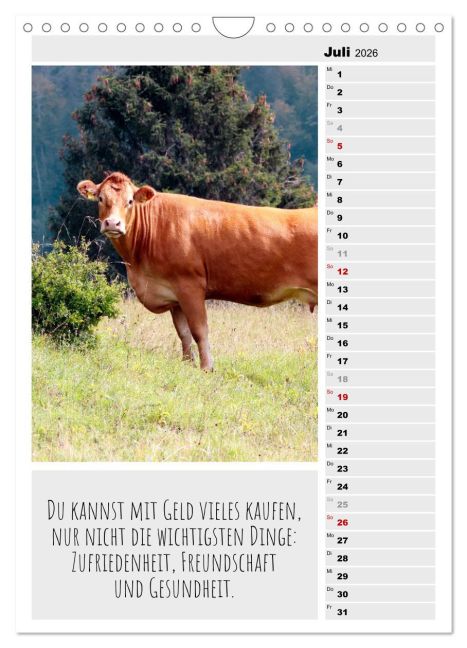 InsideView 12