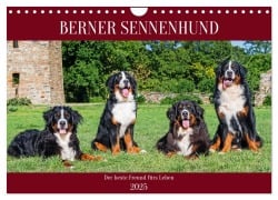 Berner Sennenhund - Der beste Freund fürs Leben (Wandkalender 2025 DIN A4 quer), CALVENDO Monatskalender - Sigrid Starick