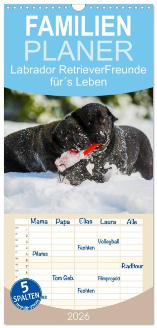 Familienplaner 2026 - Labrador Retriever - Freunde für¿s Leben mit 5 Spalten (Wandkalender, 21 x 45 cm) CALVENDO - Sigrid Starick