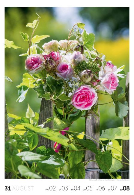 InsideView 32