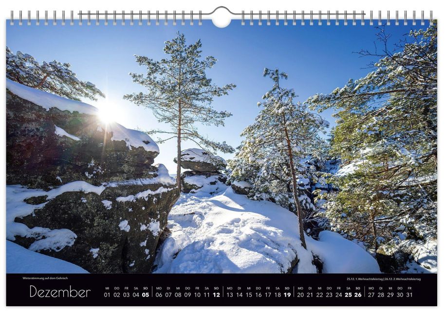 InsideView 12