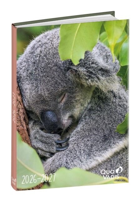 Schülerkalender Forum Tiere Koala 2026 / 2027 - 