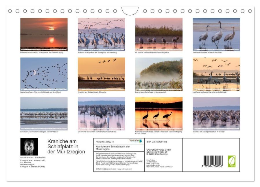 InsideView 5