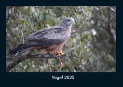 Cover-Bild zum Titel 'Vögel 2025 Fotokalender DIN A4' von 'Tobias Becker'
