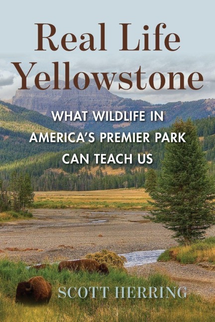 Real Life Yellowstone - Scott Herring
