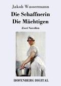Cover-Bild zum Titel 'Die Schaffnerin / Die Mächtigen' von 'Jakob Wassermann'