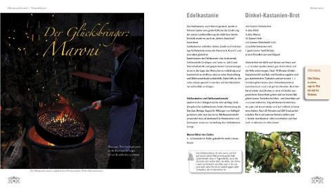 InsideView 4