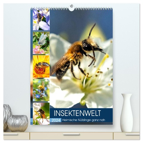 INSEKTENWELT - Heimische Nützlinge ganz nah (hochwertiger Premium Wandkalender 2024 DIN A2 hoch), Kunstdruck in Hochglanz - Andrea Dreegmeyer
