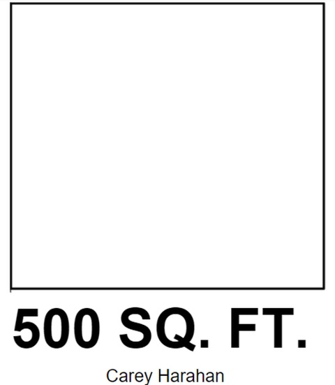 500 Sq Ft - Carey Harahan