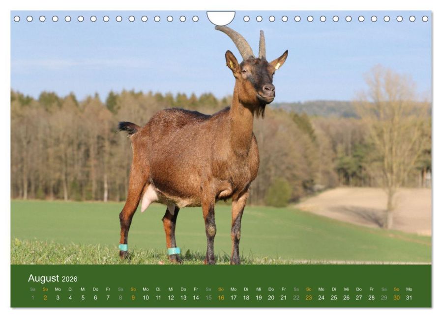 InsideView 13