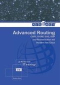 Cover-Bild zum Titel 'Advanced Routing' von 'Rukhsar Khan'