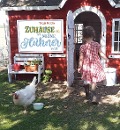 Zuhause ist, wo meine Hühner sind - Tanja Berlin