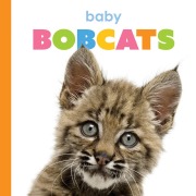 Cover-Bild zum Titel 'Baby Bobcats' von 'Kim Thompson'