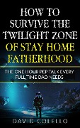 Cover-Bild zum Titel 'How To Survive The Twilight Zone Of Stay Home Fatherhood' von 'David Colello'