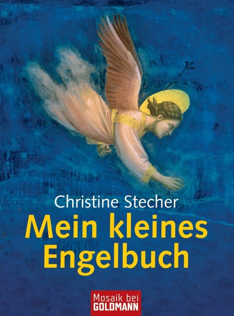 Mein kleines Engelbuch - Christine Stecher