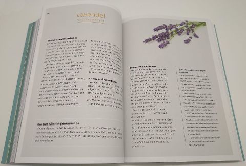 InsideView 7