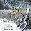 Winterschmetterlinge - Doreen Mechsner