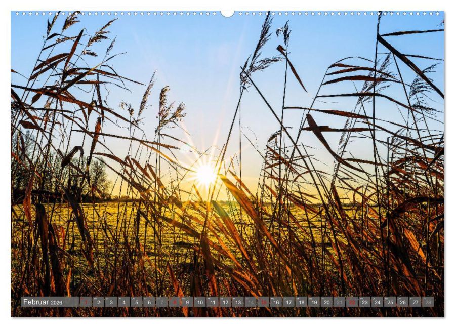 InsideView 7
