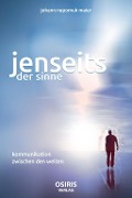 Cover-Bild zum Titel 'Jenseits der Sinne' von 'Johann Nepomuk Maier'