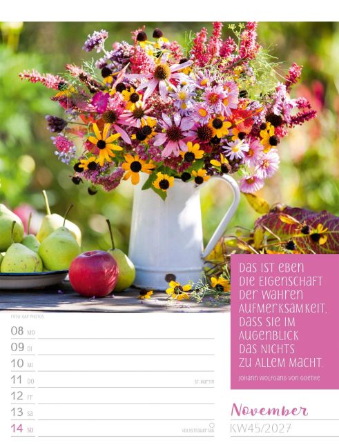 InsideView 49