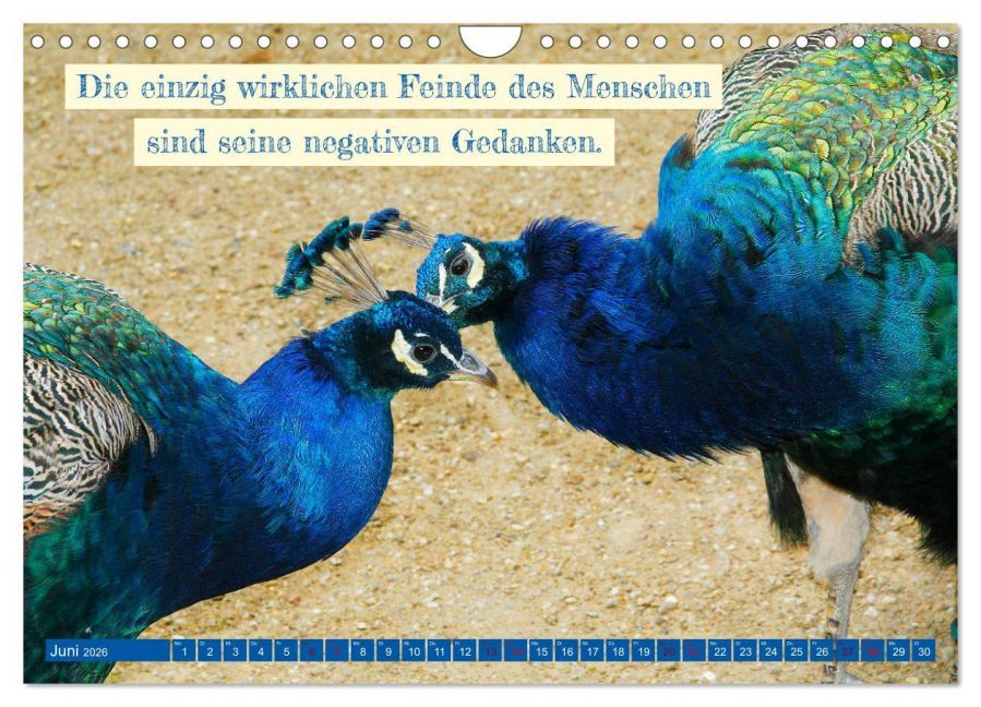 InsideView 11