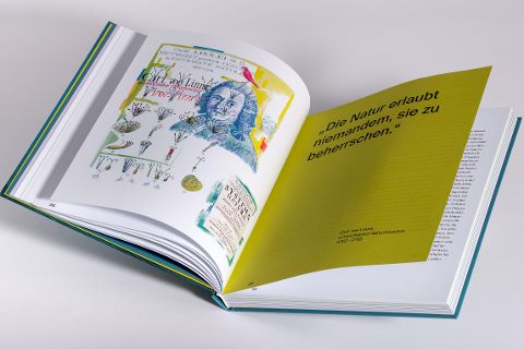 InsideView 6