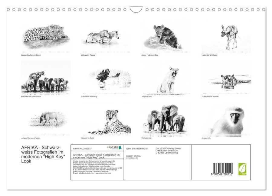 InsideView 5