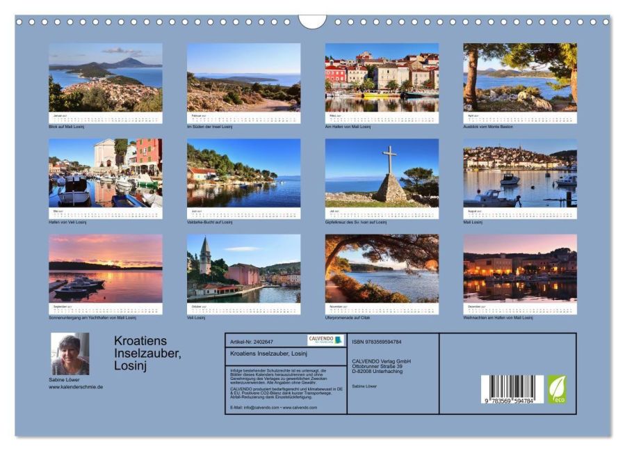 InsideView 5